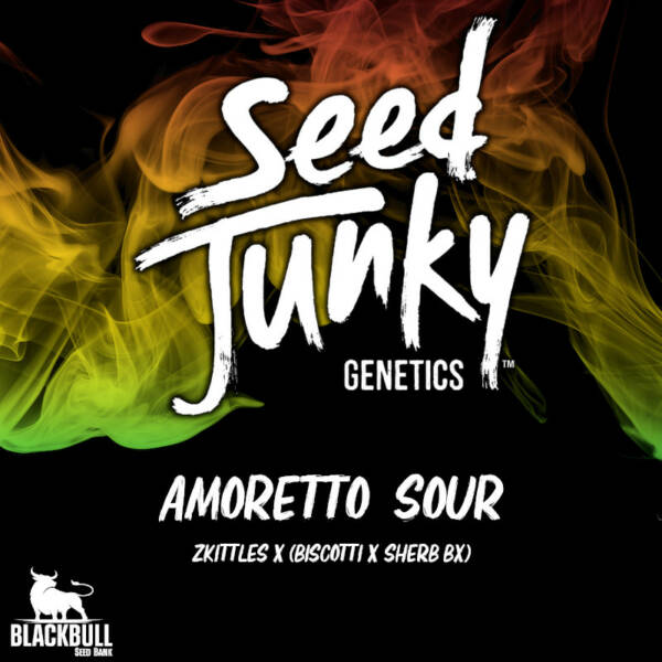 Amoretto Sour Seed Junky Genetics feminized seeds