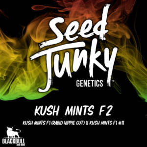Kush Mints F2 Seed Junky Genetics regular seeds