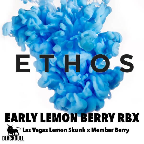 Early Lemon Berry RBX Ethos feminized seeds