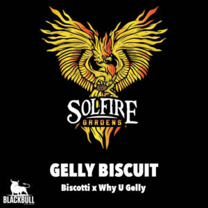 Gelly Biscuit Solfire Gardens feminized seeds