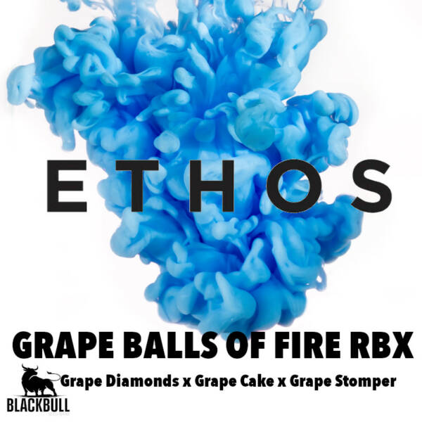 Grape Balls of Fire RBX Ethos Genetics seeds