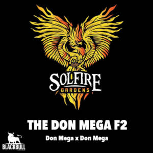 The Don Mega F2 Solfire Gardens regular seeds