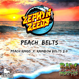 Peach Belts Zephyr Zeeds regular seeds
