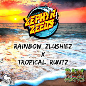 Rainbow Zlushiez x Tropical Runtz Zephyr Zeeds regular seeds