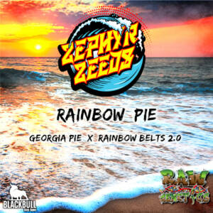 Rainbow Pie Zephyr Zeeds regular seeds
