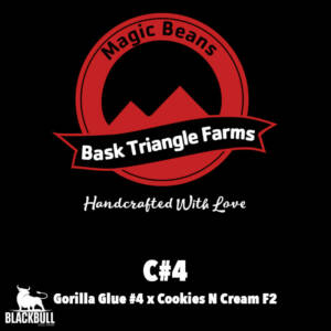 C#4 Bask Triangle Farms regular seeds