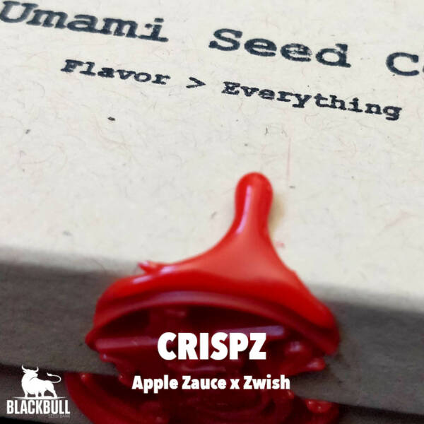 Crispz Umami Seed Co Seeds
