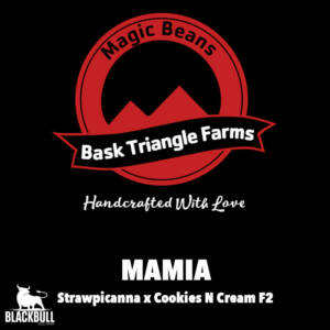 Mamia Bask Triangle Farms regular seeds