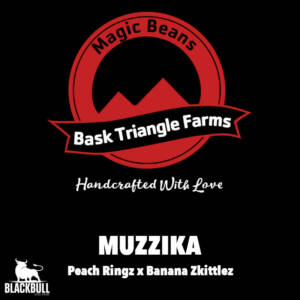 Muzzika Bask Triangle Farms regular seeds