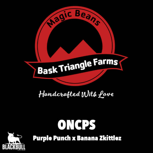 ONCPS Bask Triangle Farms regular seeds
