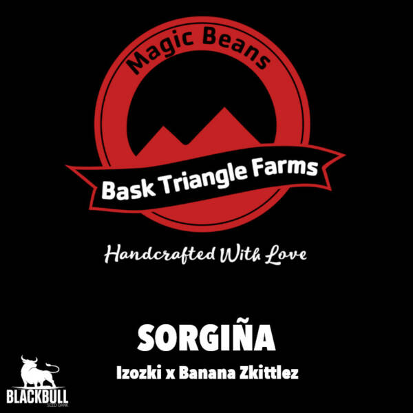 Sorgiña Bask Triangle Farms regular seeds