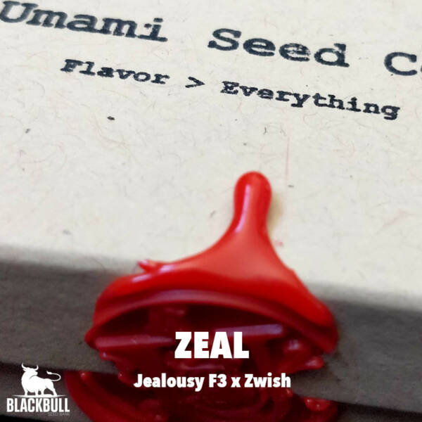 Zeal Umami Seed Co Seeds