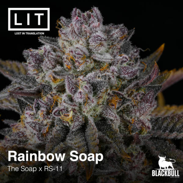 Rainbow Soap LIT Farms Feminized Seeds