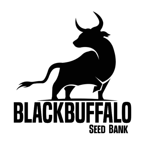 Logo Black Buffalo Seed Bank