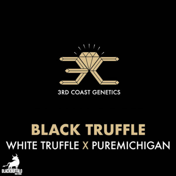 Black Truffle 3rd Coast Regular Seeds