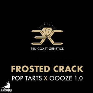 Frosted Crack 3rd Coast Feminized Seeds