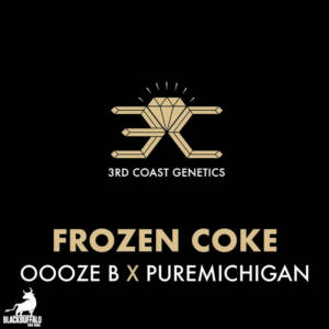 Frozen Coke 3rd Coast Regular Seeds