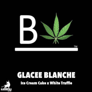 Glacee Blanche Beleaf Feminized Seeds