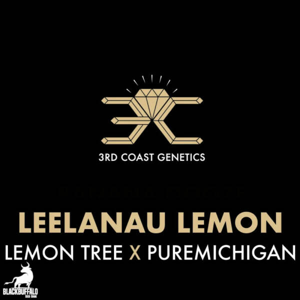 Leelanau Lemon 3rd Coast Regular Seeds