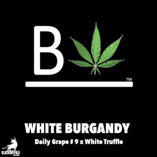 White Burgandy Beleaf Feminized Seeds