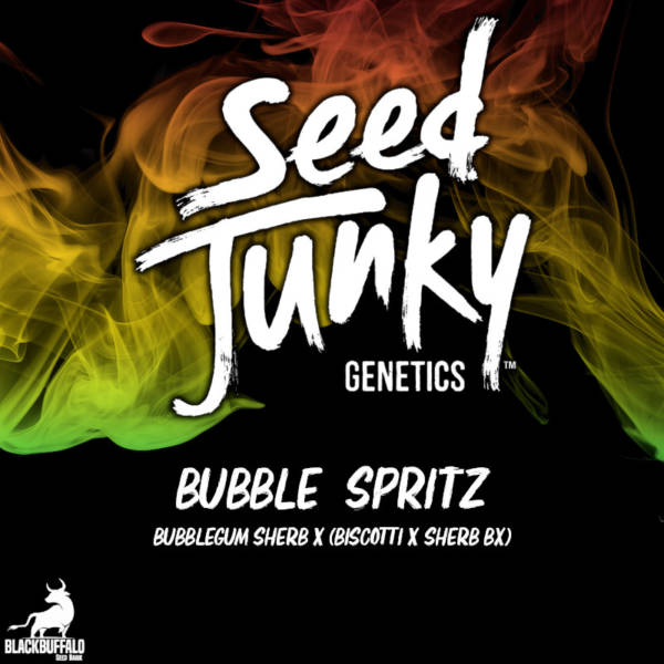 Bubble Spritz Seed Junky Genetics feminized seeds