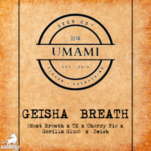 Geisha Breath Umami Seed Co feminized cannabis seeds