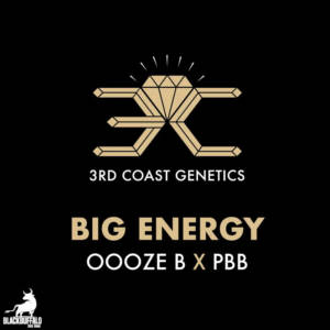 Big Energy 3rd Coast Feminized Seeds
