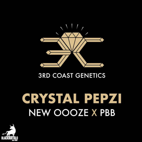 Crystal Pepzi 3rd Coast Feminized Seeds