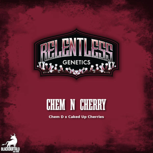 Chem N Cherry Relentless Genetics Seeds