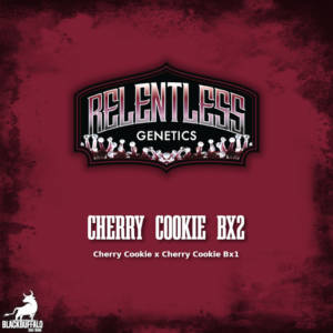 Cherry Cookie Bx2 Relentless Genetics Seeds