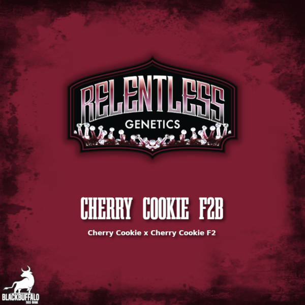 Cherry Cookie F2Bx1 Relentless Genetics Seeds