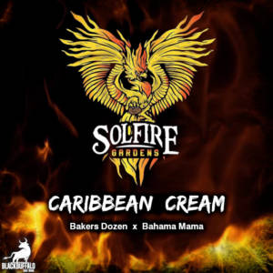 Caribbean Creme Solfire Gardens feminized seeds
