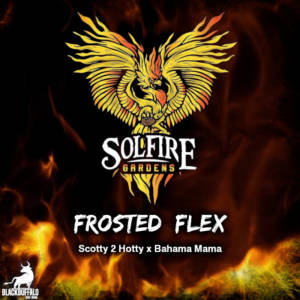 Frosted Flex Solfire Gardens feminized seeds
