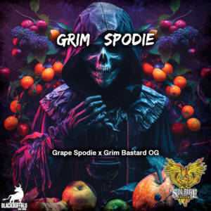 Grim Spodie Solfire Gardens regular seeds