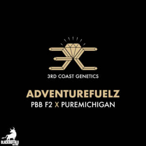 Adventure Fuelz 3rd Coast Genetics Regular Seeds
