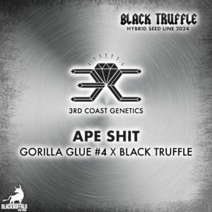 Ape Shit 3rd Coast Genetics Regular Seeds