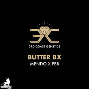 Butter Bx 3rd Coast Genetics Regular Seeds