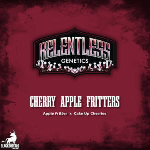 Cherry Apple Fritters Relentless Genetics Seeds