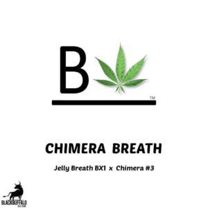 Chimera Breath Beleaf Feminized Seeds