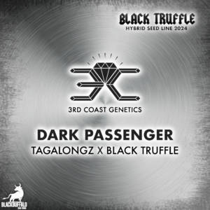 Dark Passenger 3rd Coast Genetics Regular Seeds
