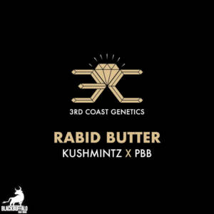 Rabid Butter 3rd Coast Genetics Regular Seeds