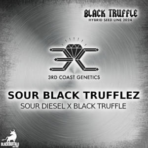 Sour Black Trufflez 3rd Coast Genetics Regular Seeds