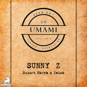 Sunny Z Umami Seed Co Feminized Seeds