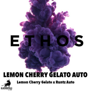 Lemon Cherry Gelato Auto R3 Ethos feminized seeds