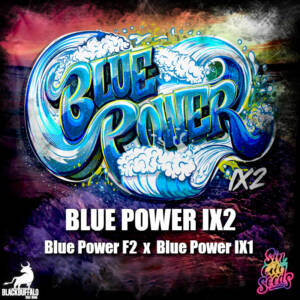 Blue Power IX2 Sin City feminized seeds