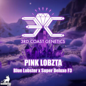Pink Lobzta 3rd Coast Genetics Regular Seeds