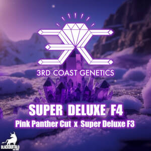 Super Deluxe F4 3rd Coast Genetics Regular Seeds