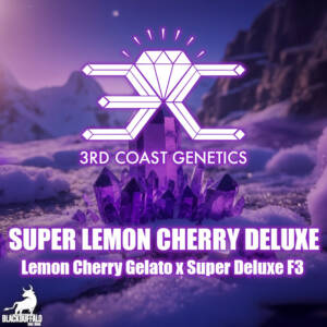 Super Lemon Cherry Deluxe 3rd Coast Genetics Regular Seeds