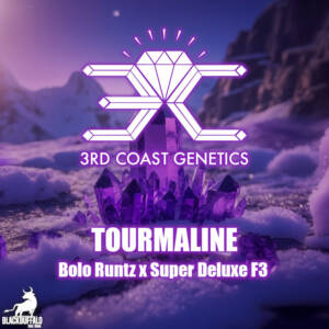 Tourmaline 3rd Coast Genetics Regular Seeds