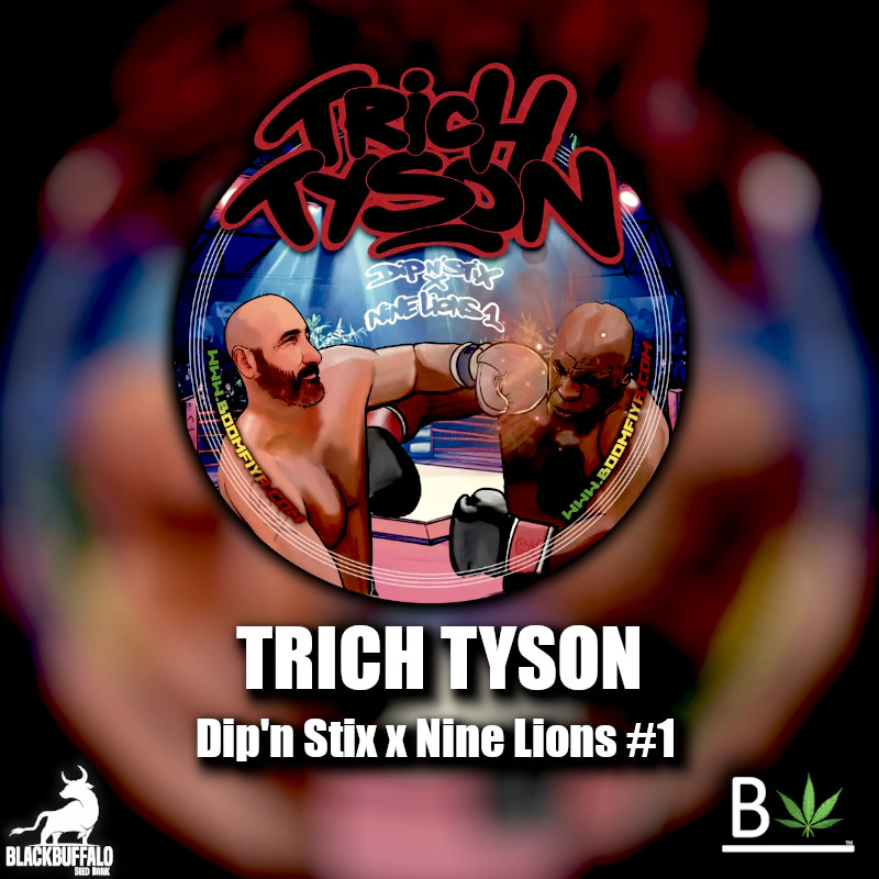Trich Tyson Beleaf Feminized Seeds 1 Trich Tyson Beleaf Feminized Seeds